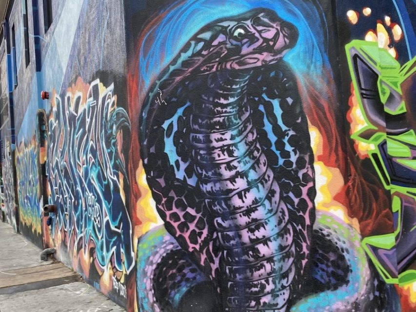 A mural on a city wall depicts a large, colorful cobra with geometric patterns and a glowing background, surrounded by other graffiti art.