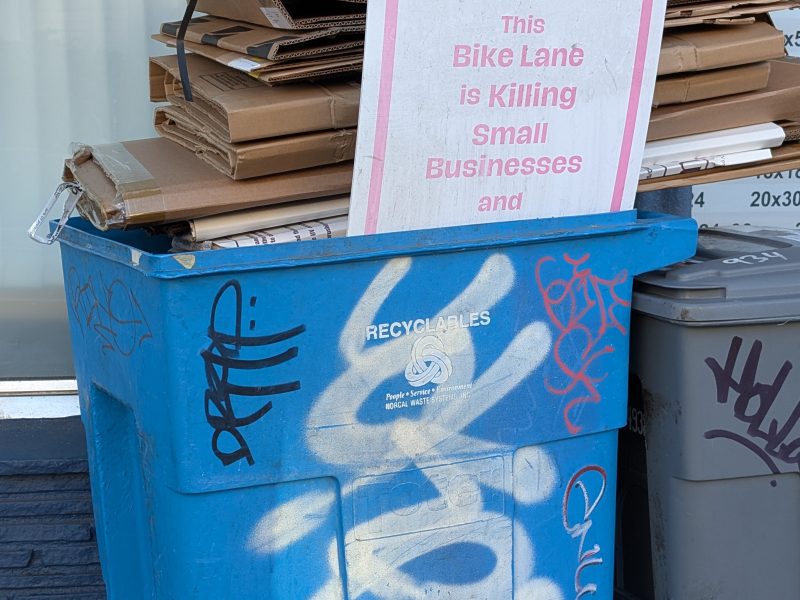 A blue recycling bin with stacked cardboard and a sign reading, "This Bike Lane is Killing Small Businesses," is covered in graffiti and placed on a sidewalk.