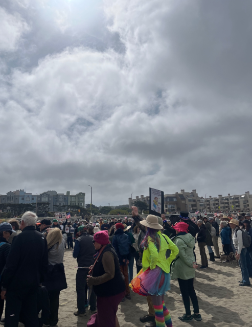 A crowd gathered on a cloudy beach for a protest, some holding signs. Most people wear dark coats, while one person stands out in a bright rainbow-colored outfit. Buildings are visible in the background.