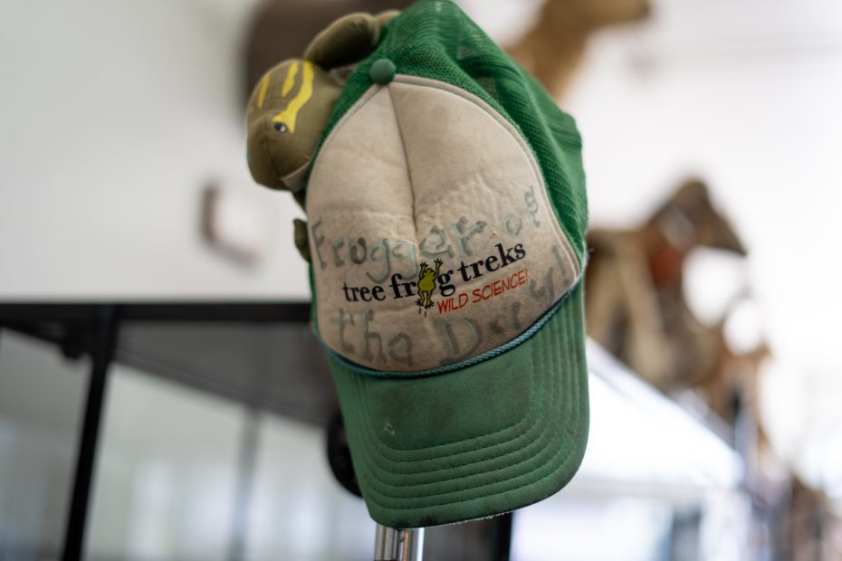 A green and beige "Tree Frog Treks Wild Science" trucker hat with a small stuffed frog attached to it, perched on a metal stand indoors.