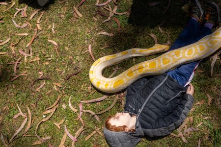 A child lies on the grass with a large yellow and white snake draped across their body.