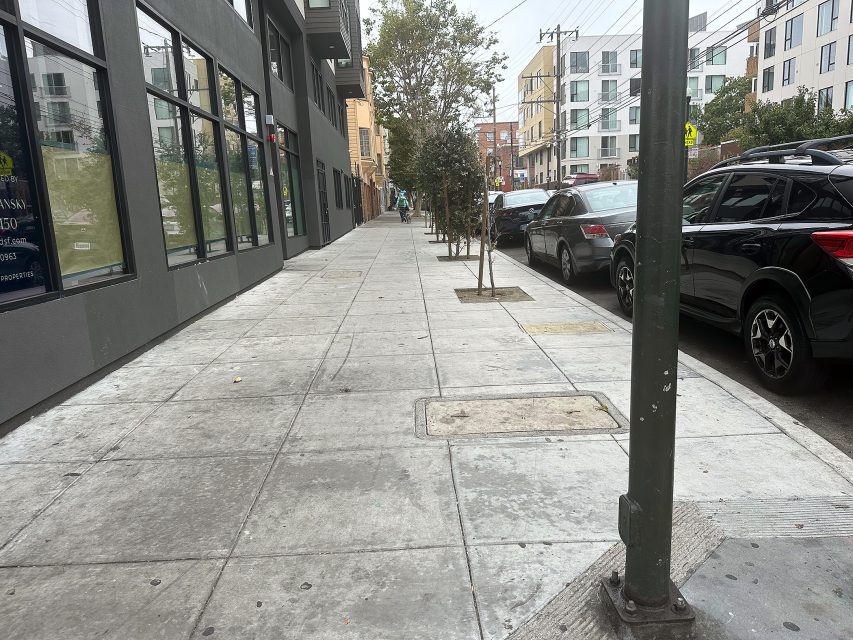 A city sidewalk with trees in planters runs alongside parked cars and modern apartment buildings on an overcast day.