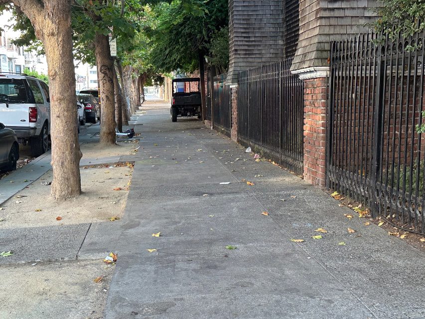 A city sidewalk lined with trees and parked vehicles, bordered by a brick and iron fence on the right, with scattered leaves and debris on the ground.