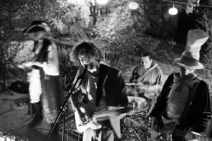 A band performs outdoors at night; members wear costumes, including a tall striped hat and animal ears.