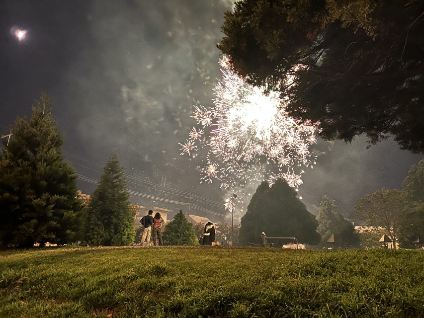 People stand on a grassy field at night, watching bright fireworks explode in the sky surrounded by trees.