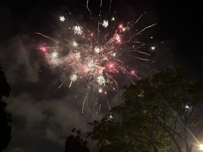 Colorful fireworks explode in the night sky above trees, with clouds faintly visible in the background.