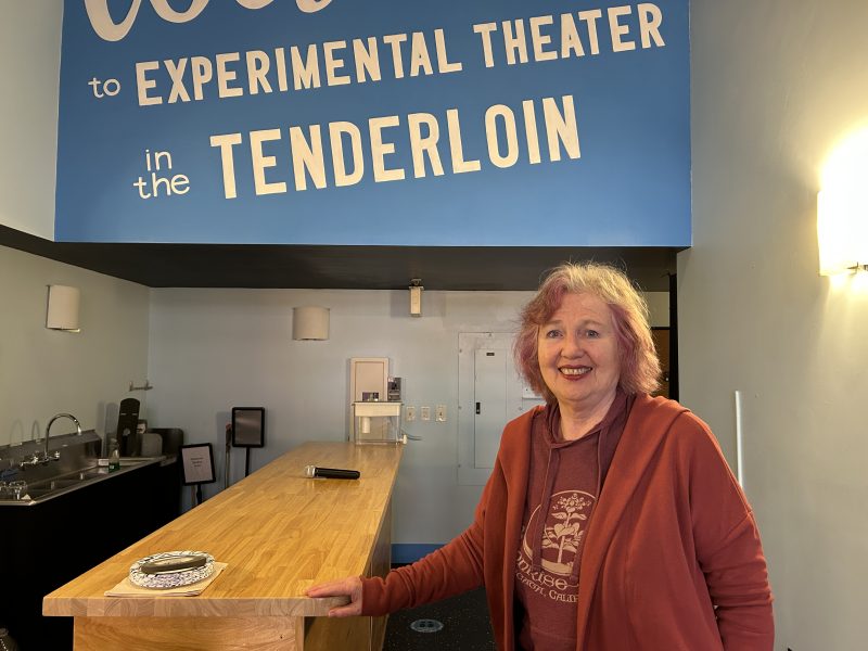 A woman with pink hair smiles while standing beside a wooden counter in a blue room with a sign reading "Experimental Theater in the Tenderloin.