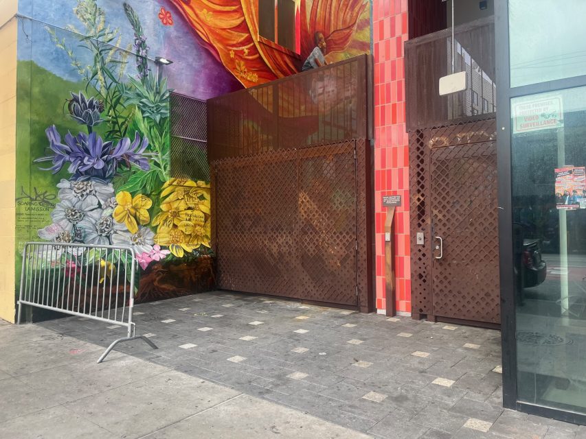 A colorful mural featuring flowers, a butterfly, and fiery accents covers the wall next to a gated entryway with a metal fence and a glass door on a city sidewalk.