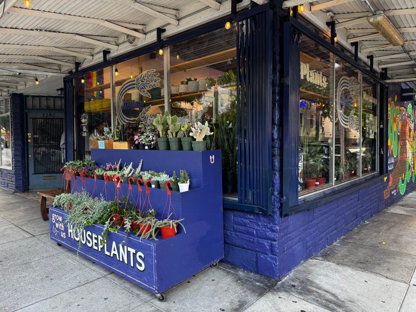 A corner shop with large windows displays various potted houseplants on a blue stand labeled "HOUSEPLANTS." Additional plants are visible inside through the windows.