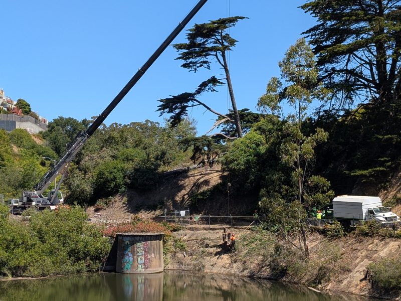 A crane lifts a large log near a small pond, with a white truck and workers nearby, surrounded by trees and brush under a clear blue sky.