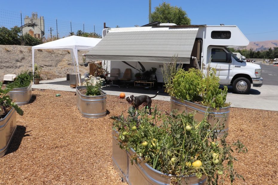 A white RV with an extended awning is parked next to raised garden beds and a tent canopy; a black and white dog stands nearby on wood chip ground.