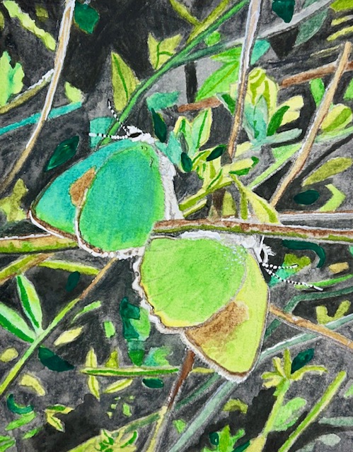 Two green butterflies rest on intertwined branches and leaves, blending into the surrounding foliage.