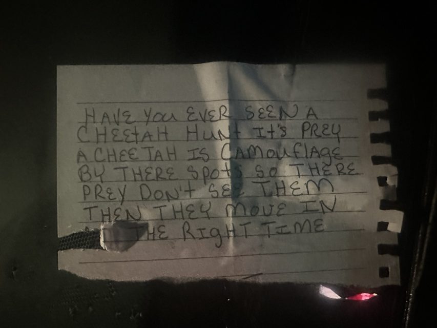 A handwritten note taped to a surface reads: "Have you ever seen a cheetah hunt? Its prey, a cheetah is camouflage by there spots so there prey don't see them then they move in the right time.