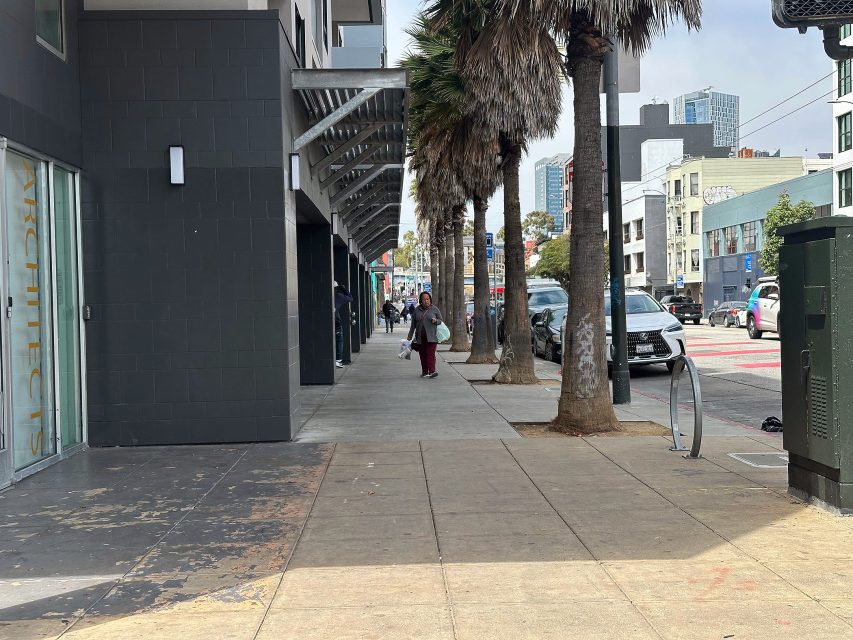 A city sidewalk lined with palm trees, cars parked on the street, a few pedestrians walking, and modern buildings in the background.