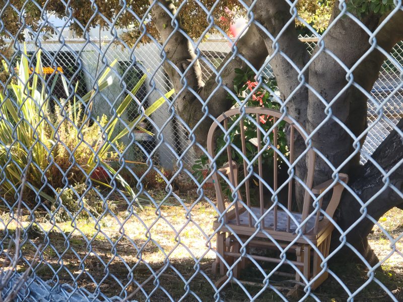 A wooden chair sits under a tree in a yard, viewed through a metal chain-link fence with plants and sunlight in the background.