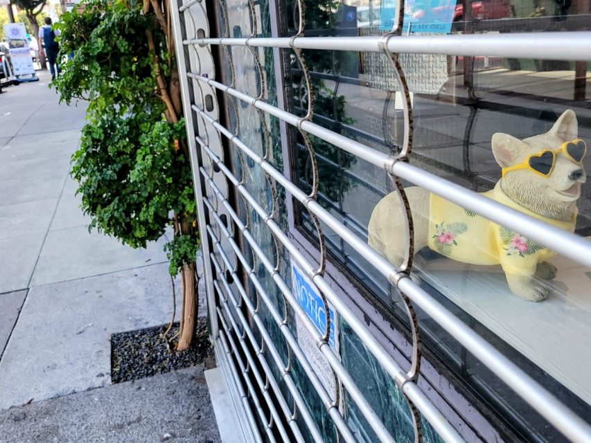 A storefront window with a metal security grate; behind the glass is a statue of a dog wearing heart-shaped sunglasses and a yellow shirt with a floral pattern.
