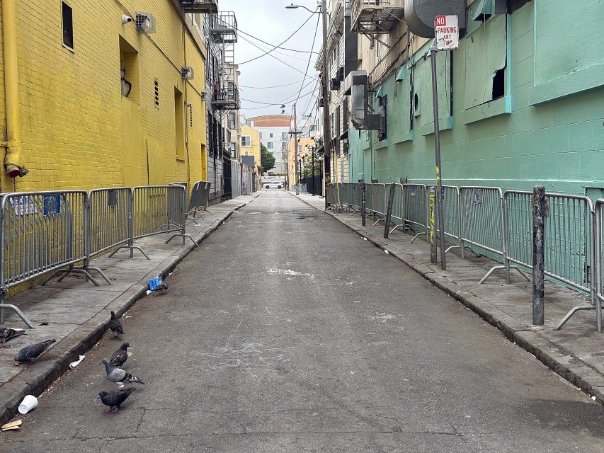 A narrow alley with yellow and green painted buildings, metal barricades, pigeons on the ground, and a "No Parking" sign on the right side.