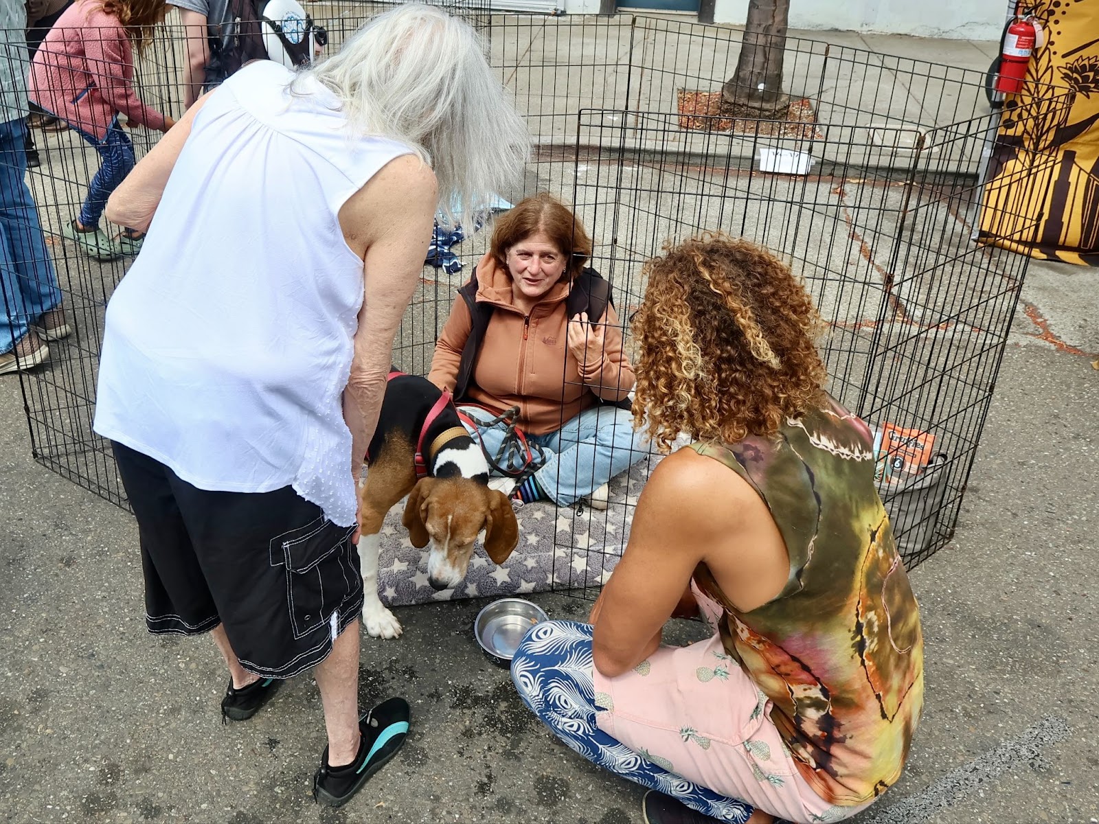 Three people gather around a wire pen with a dog inside, one person is seated inside the pen while others interact from outside. A water bowl is on the ground.