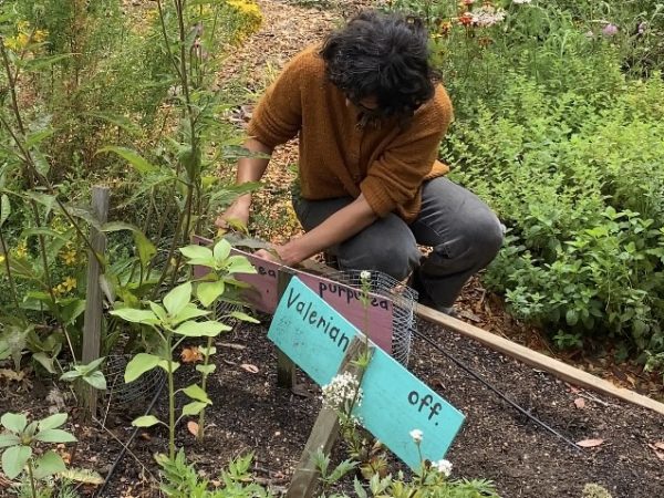 A ‘public medicine chest’ grows by I-280