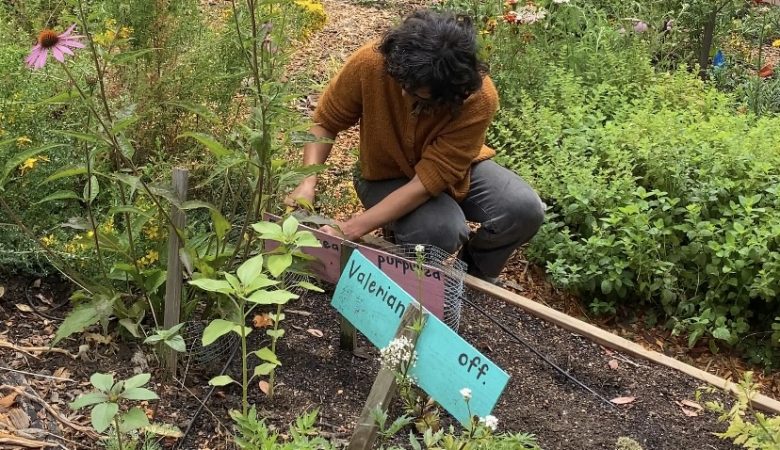 Person crouching in a garden bed, tending to plants near signs labeled "Valerian" and "Off." Various plants and flowers surround the area.