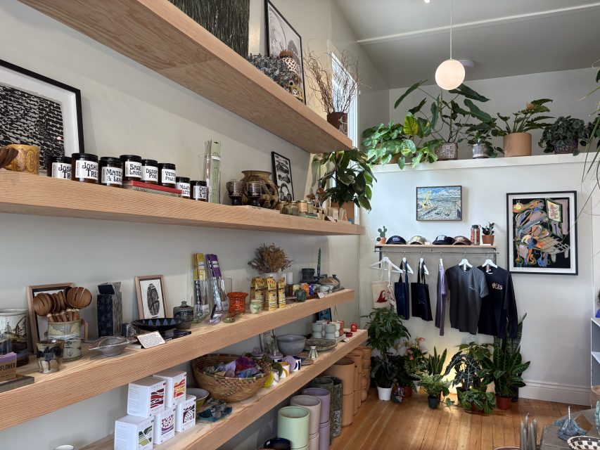 A boutique shop interior with shelves displaying various jars, ceramics, and goods; clothing hangs on the back wall, and potted plants decorate the space.