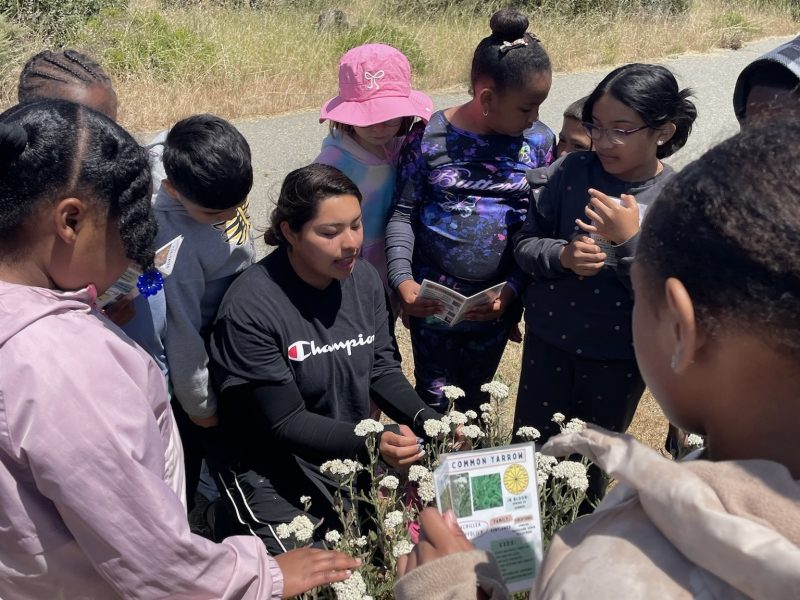 A group of children gather outdoors around an adult who is showing them a plant and a field guide in a grassy area.