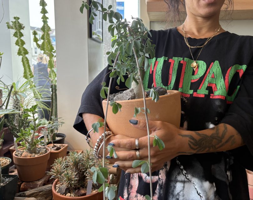 Person holding a potted plant in a room filled with other plants; the person is wearing a black T-shirt with "TUPAC" printed on it and has tattoos and jewelry on their hands and arms.