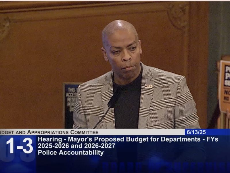 A man in a plaid jacket speaks at a podium during a Budget and Appropriations Committee hearing on police accountability, with protest signs visible in the background.