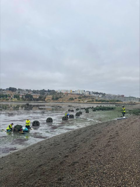 Four people in yellow vests work among large rocks or structures on a cloudy beach, with buildings and greenery visible in the background.