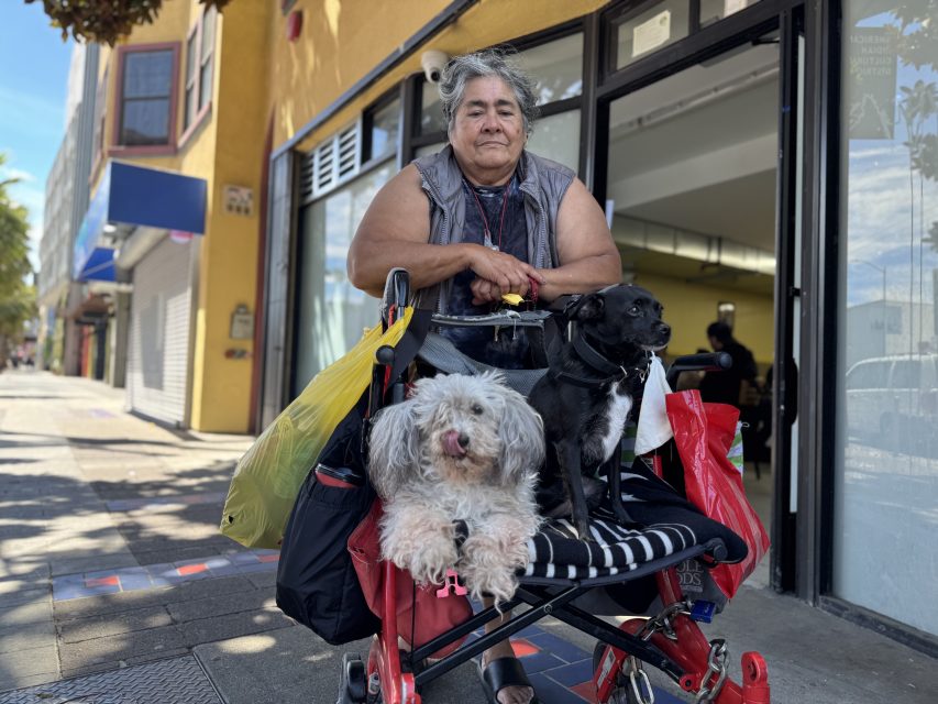 An older woman sits outside a storefront with two dogs in a stroller, surrounded by shopping bags on a city sidewalk.