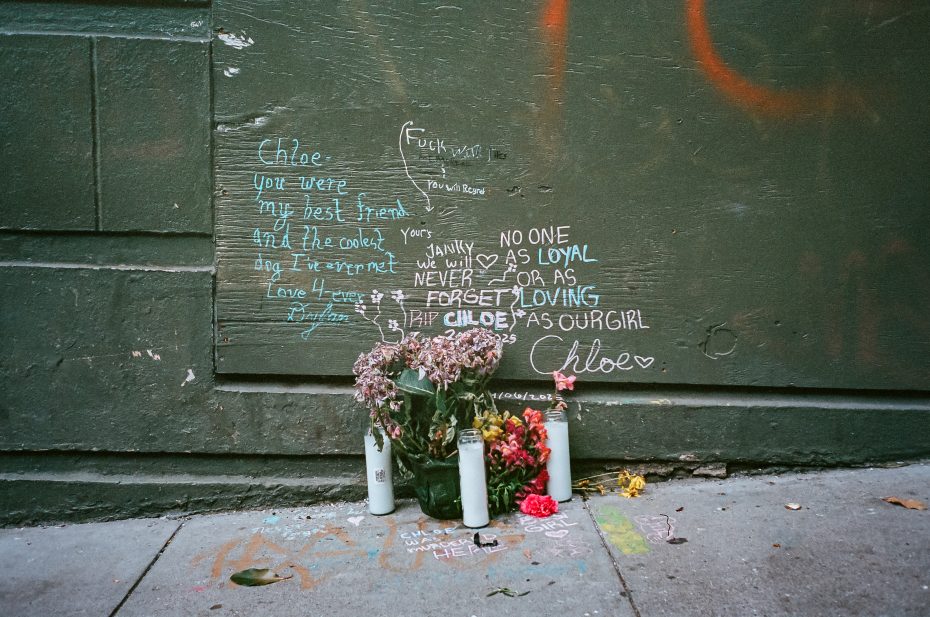 A memorial with flowers, candles, and handwritten messages is arranged against a green wall on a sidewalk.