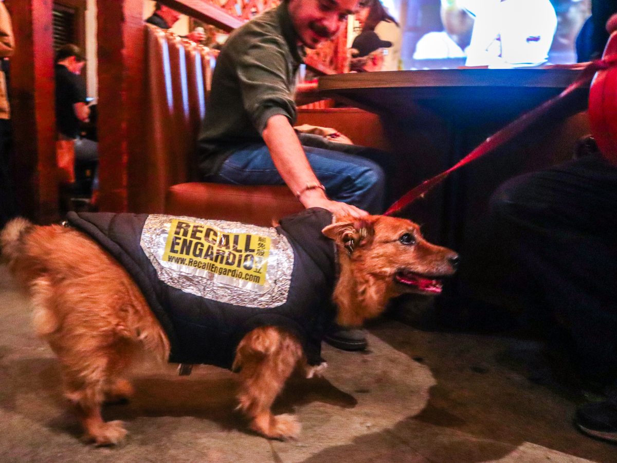 Joel Engardio concedes election: ‘We are on the right side of history’