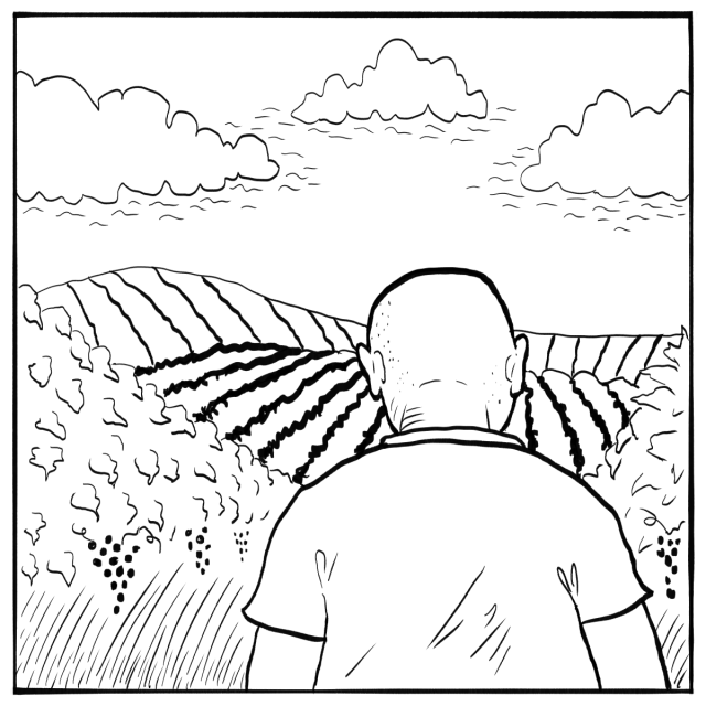 A person with a bald head stands facing away, overlooking a vineyard with rolling hills and clouds in the sky.