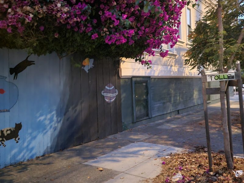 A sidewalk with a mural of a fishbowl, fish, and cat on a wall under blooming pink bougainvillea; street signs and fallen leaves are visible.