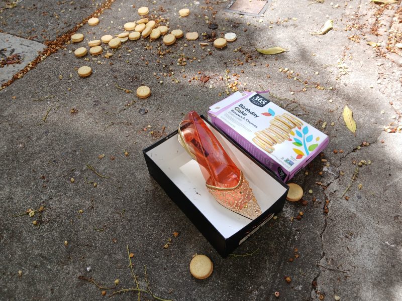 A single shoe in a box sits on concrete next to a toppled box of broken digestive biscuits with cookies scattered around.