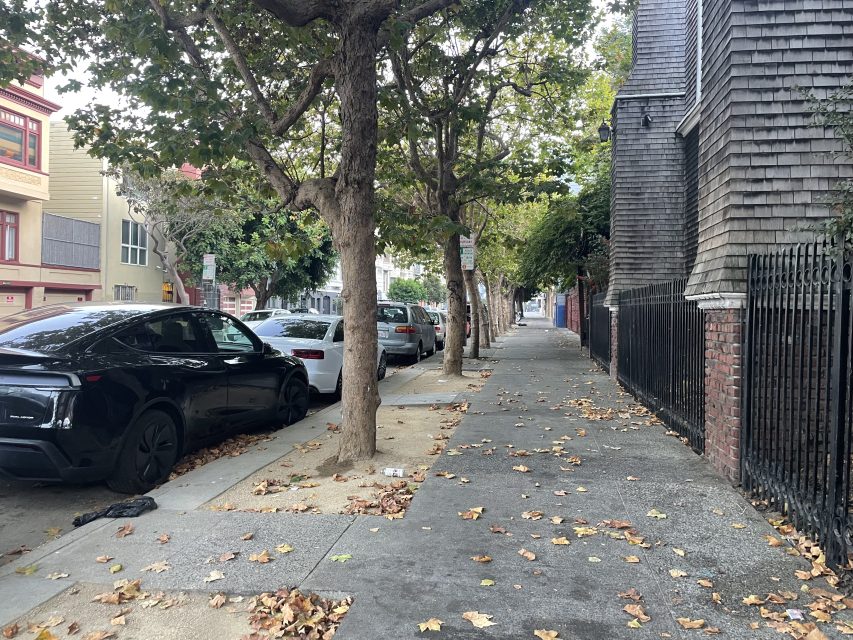 A city sidewalk lined with trees, parked cars, and fallen leaves; residential buildings are visible on both sides of the street.