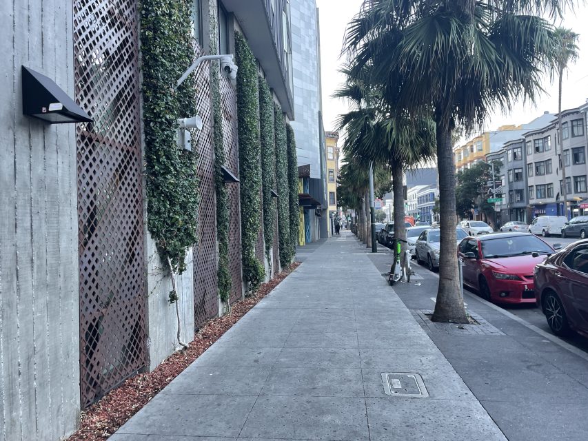 A city sidewalk lined with buildings covered in green vines, palm trees, parked cars, and a few people walking in the distance.