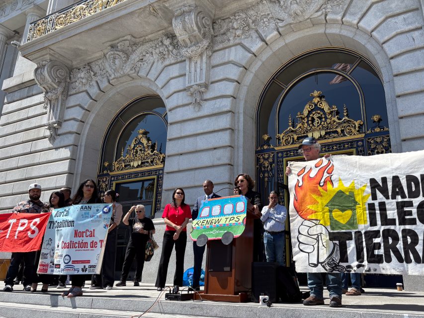 A group of people stand on the steps of a government building holding banners and signs, with a woman speaking at a podium.