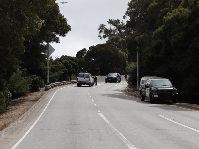 Two vehicles, including a police car, are stopped on a curved road as two people stand between them. Another vehicle is parked on the side, with trees lining both sides under a cloudy sky.