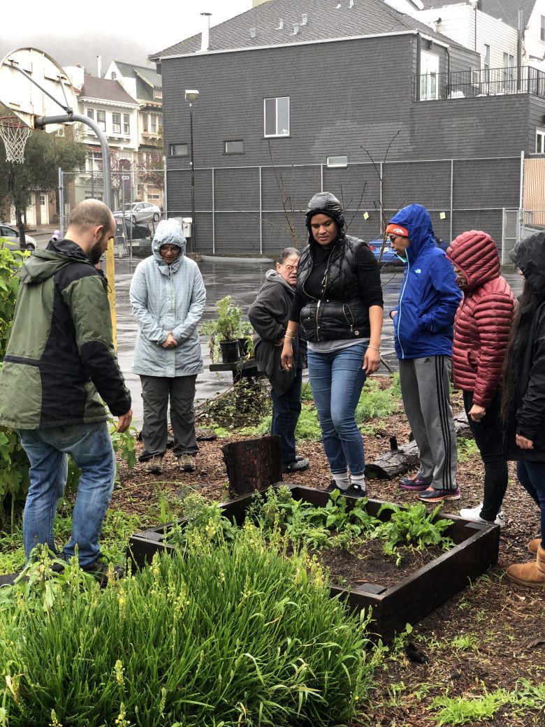 A group of people wearing jackets and hoods stand around a raised garden bed outside on a rainy day, observing plants.
