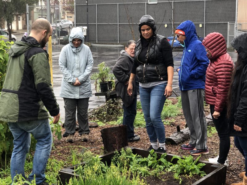 A group of people wearing jackets and hoods stand around a raised garden bed outside on a rainy day, observing plants.