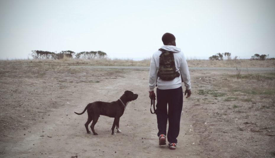 A person wearing a backpack walks on a dirt path with a dog on a leash in an open, outdoor area.