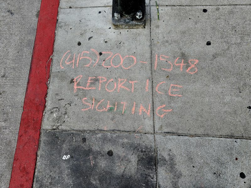Chalk writing on sidewalk reads “(415) 200-1548 REPORT ICE SIGHTING” next to a red-painted curb and a metal pole.