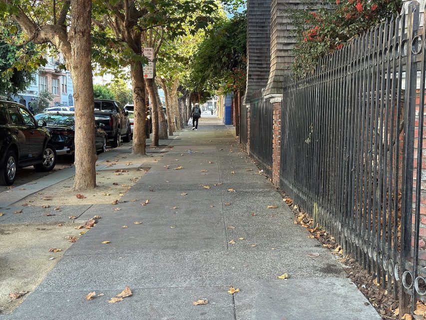 A city sidewalk lined with trees and parked cars, bordered by a black iron fence and buildings, with scattered leaves on the ground.