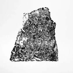 A rough, irregularly shaped black and white textured fragment is centered on a plain white background.