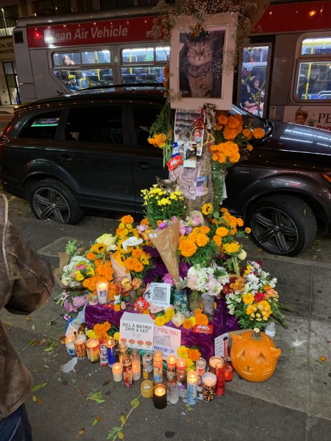 A street memorial with candles, flowers, photos, a carved pumpkin, and a kitkat bar is arranged around a tree at night; a car and bus are in the background.