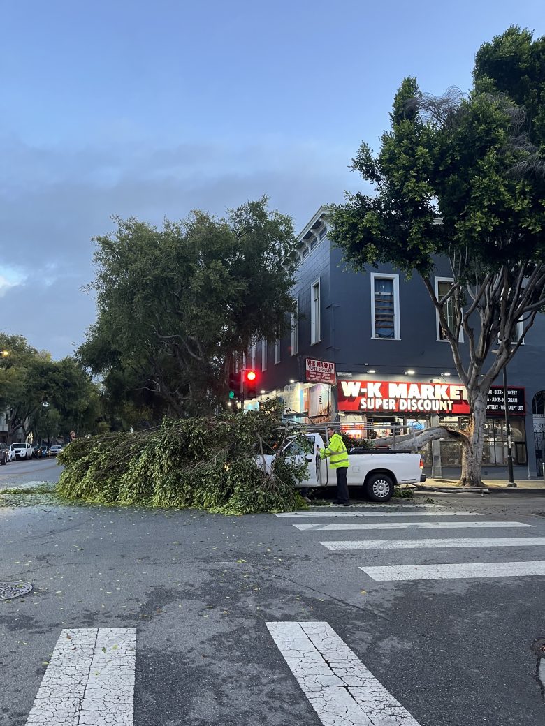 A large fallen tree blocks part of a street near a market; utility workers in safety vests stand beside a white truck assessing the scene.