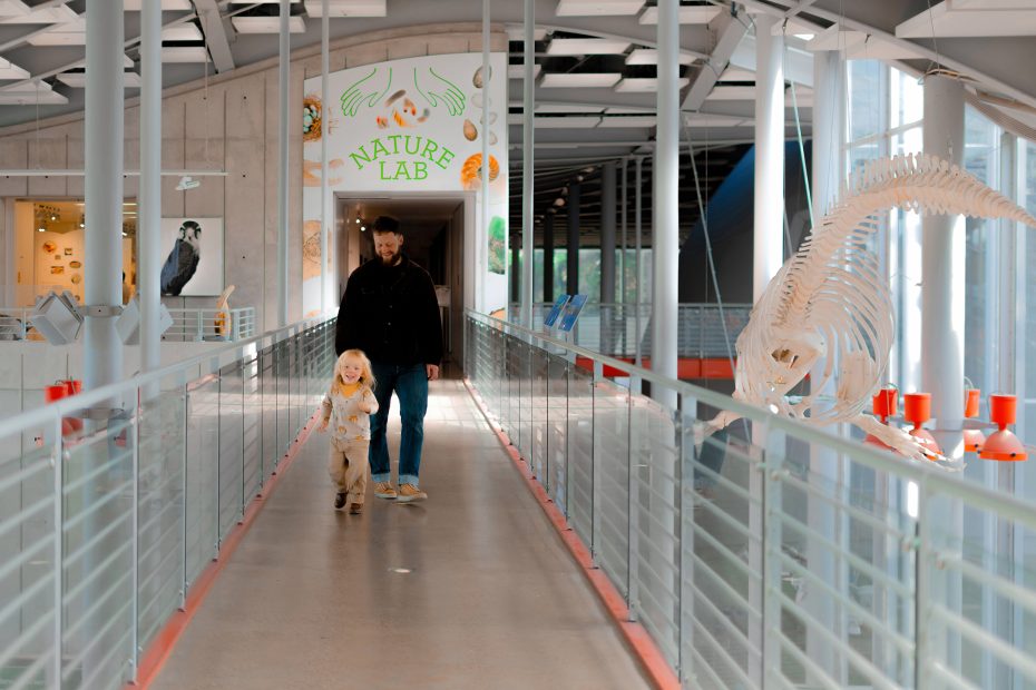 An adult and a child walk down a hallway in a science museum, passing animal exhibits and a sign that reads "Nature Lab.