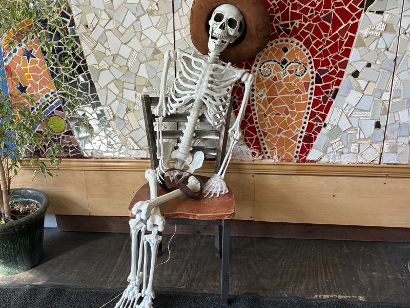 A skeleton wearing a wide-brimmed hat sits on a chair against a colorful mosaic wall, with a potted plant to the left.