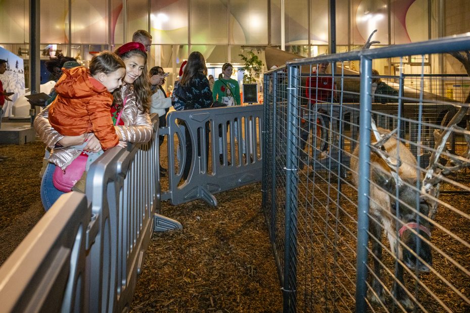 A woman holds a child while they look at reindeer in an enclosed pen at an indoor event, with other people nearby.